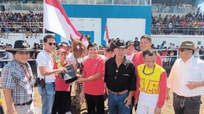 MS King Kuda Milik Bupati Joune Ganda Siap Pertahankan Gelar, Tantang Kuda Sun Power Nagari Milik Wali Kota Manado