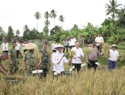 Wali Kota Tomohon Dampingi Wakil Gubernur Sulut Hadiri Panen Raya dan Pengumuman Swasembada Pangan