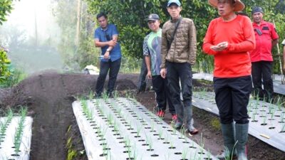 Bupati FD Wongkar Dorong Kedaulatan Pangan Lewat Program “Marijo Batanam” yang Konsisten Sejak 2022
