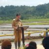Victor Mailangkay Pimpin Gerakan Tanam Padi di Touliang, Tegaskan Komitmen Sulut Dukung Swasembada Pangan