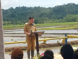 Victor Mailangkay Pimpin Gerakan Tanam Padi di Touliang, Tegaskan Komitmen Sulut Dukung Swasembada Pangan