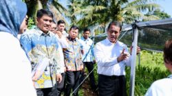 Mentan Amran Puji Kinerja Pemprov Sulut, Bantuan Jagung 15 Ribu Hektare Langsung Disetujui
