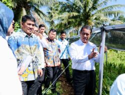 Mentan Amran Puji Kinerja Pemprov Sulut, Bantuan Jagung 15 Ribu Hektare Langsung Disetujui