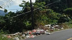 Dari Jalan Trans Minsel, Saya Belajar bahwa Iman Harus Menjaga Alam: Refleksi Pendidikan Agama Kristen atas Fenomena Sampah di Ruas Jalan Kapitu–Tewasen, Kecamatan Amurang Barat