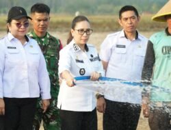 Wakil Bupati Vanda Sarundajang Dialog dengan Petani, Tinjau Dampak El Nino di Minahasa