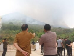 Caroll Senduk Turun Langsung Pantau Kebakaran di Gunung Lokon