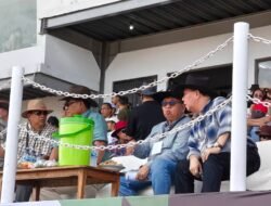 Bupati Robby Dondokambey Bangga, Kejurnas Pacuan Kuda Kembali Bergema di Tompaso